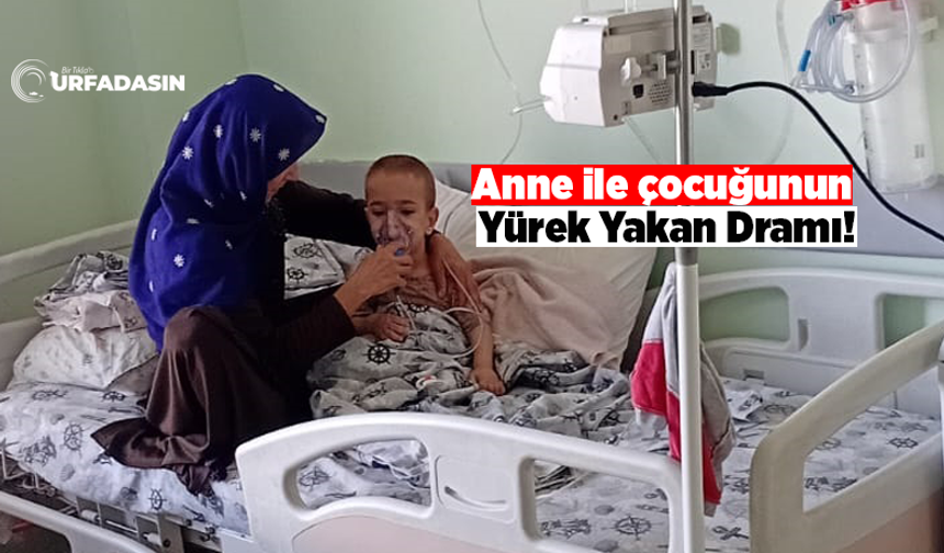 Viranşehirli Anne İle Çocuğunun Feryadı Bu Kez Fatma Şahin Değil Urfa Duysun