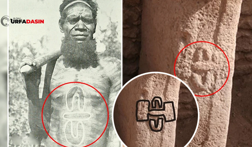Aborjin Şifacının Sembolleri İle Göbeklitepe'deki Sembollerin Benzerliği