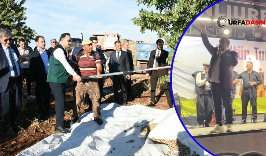 Hilvan'da Badem Hasat Festivali Düzenlendi