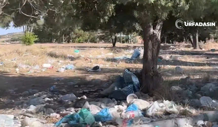 Şanlıurfa Bozova Atatürk Barajı Kıyısında Büyük Çelişki !