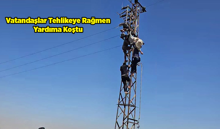 Şanlıurfa'da Korku Dolu Anlar: Çıktığı Direkte Akıma Kapılarak Asılı Kaldı