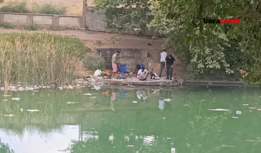 Şanlıurfalıların Piknik Merkeziydi: Edene Culap Gölü Çöpten Geçilmiyor
