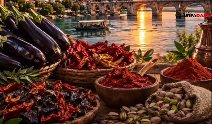 Şanlıurfa Birecik’te Festival Coşkusu Başladı!