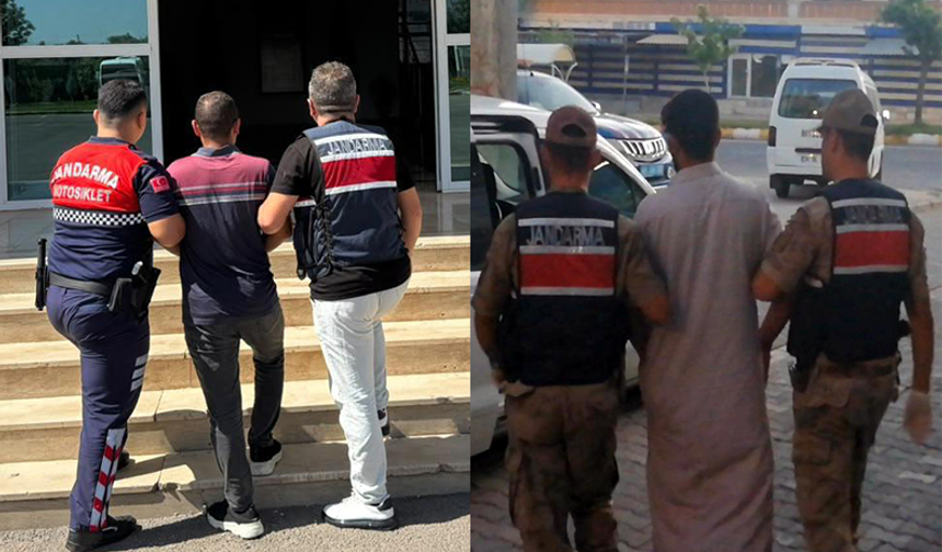 Şanlıurfa'da Hapis Cezası Bulunan 2 Firari, Jandarma Operasyonuyla Yakalandı