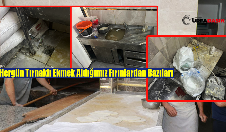 Şanlıurfa Haliliye'de Denetlenen Fırınlara 80 Bin Lira Ceza Kesildi