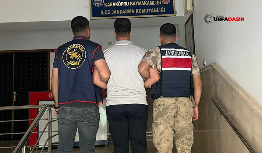 Şanlıurfa'da Hırsızlık Hükümlüsü, Yakalanarak Cezaevine Gönderildi
