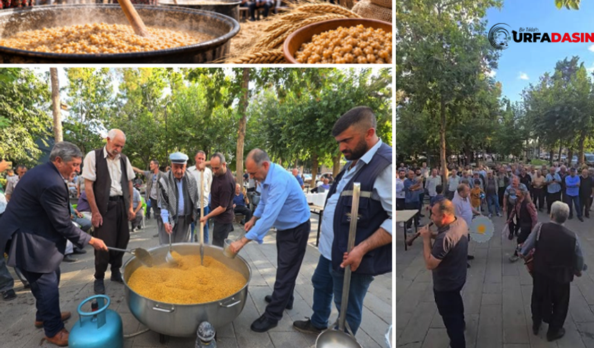 Siverek'te Asırlık Hedik Şenliği