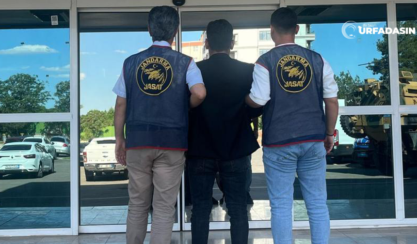 Şanlıurfa'da Cezası Yargıtay'da Onaylananlar Teslim Olmuyor Jandarma Yakalayıp Yargıya Teslim Ediyor