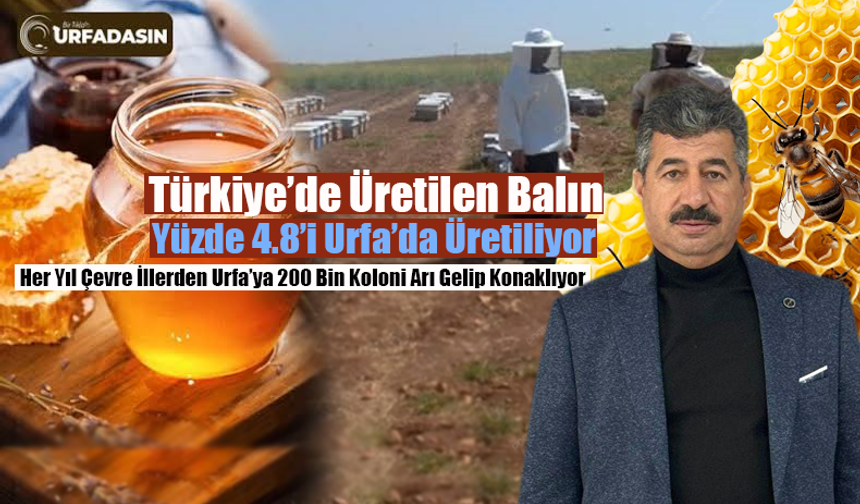 Şanlıurfa Arıcılıkta Türkiye’de 8. Sıraya Yükseldi