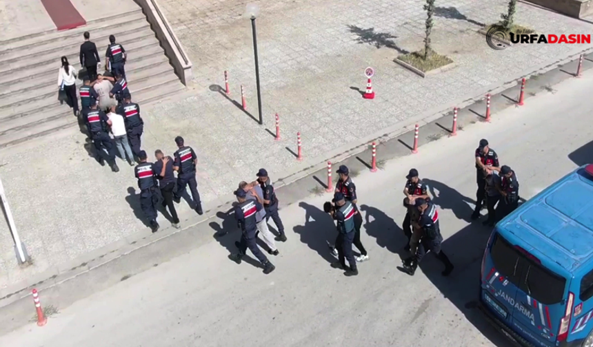 Siber Dolandırıcılık Operasyonunda Gözaltına Alınan 7 Şüpheliden 5'i Tutuklandı