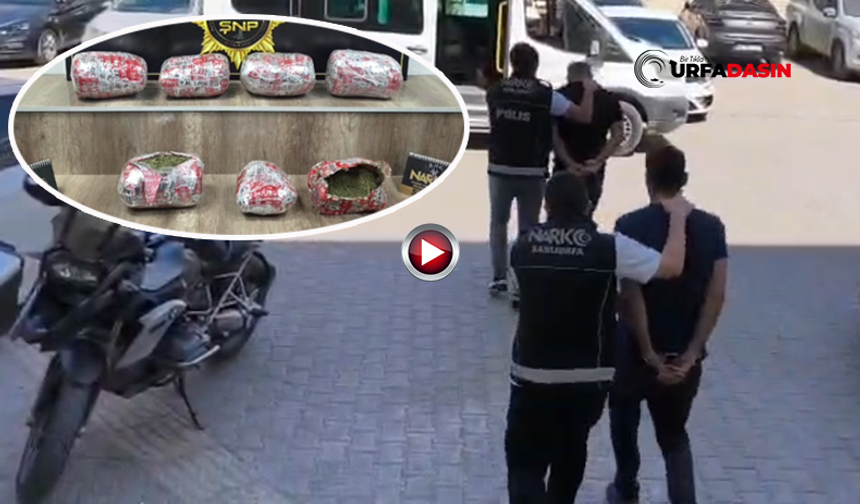 Şanlıurfa'da Zehir Tacirleri 38 Bin Kişiyi Zehirleyecekti: 4 Zanlı Tutuklandı