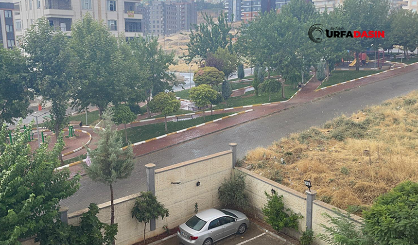 Şanlıurfa'da Yer Yer Yağmur ve Fırtına Etkili Oldu