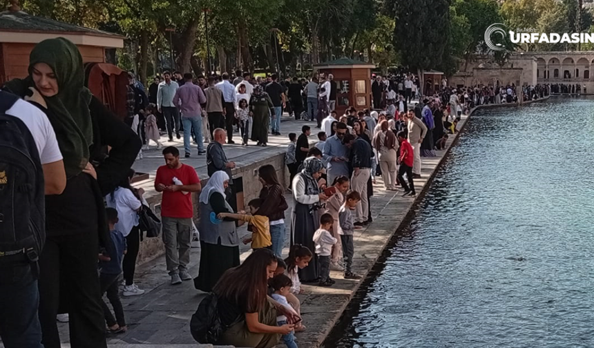 Balıklıgöl ve Aynzeliha Gölüne Ziyaretçi Akını