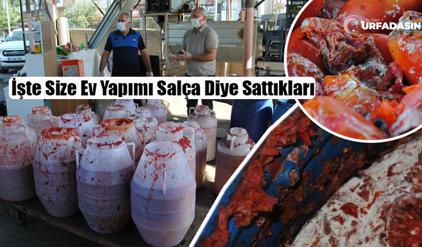 Şanlıurfa’da Merdiven Altı Salça Yapan Yerlere Operasyonda Mide Bulandıran Görüntüler