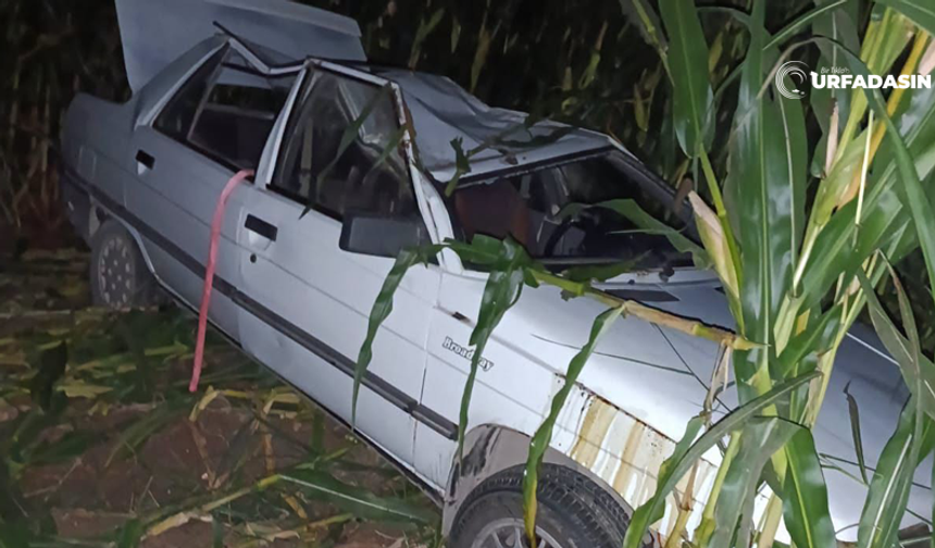 Şanlıurfa'da Otomobil Mısır Tarlasına Devrildi:3 Yaralı