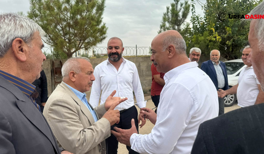 Şanlıurfa’da Yarış Atları Yetiştiricileri ve Sahipleri Seçime Hazırlanıyor