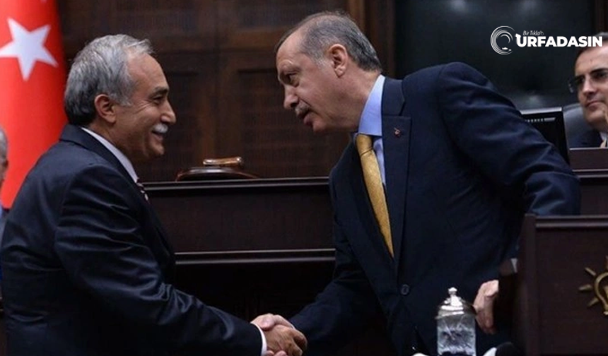 Fakıbaba Yuvaya Mı Dönüyor ?