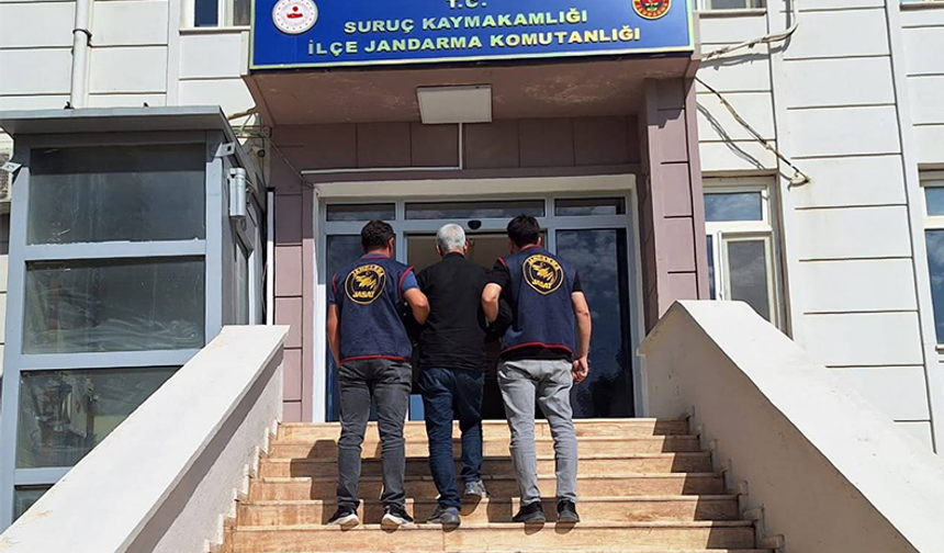 Şanlıurfa'da Silahlı Yağma Suçlusu Hükümlü, Jandarma Ekiplerince Yakalandı