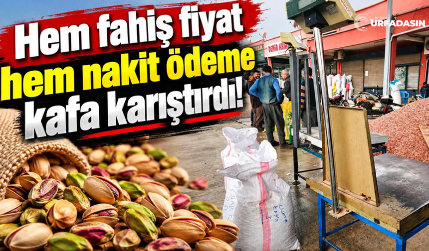 Fıstığınızı Hem Daha Pahalıya Satın Alıyor Hem de Peşin Ödüyor