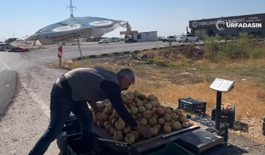 Suruç'ta Yol Kenarında Nar Satıcıları, Satış Standı İstiyor