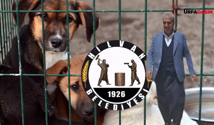 DEM Partili Hilvan Belediye Başkanı Serhan Paydaş'a Hayvan Barınağı Soruşturması