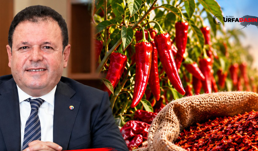 ŞUTSO Başkanı Yetim: Urfa Pul Biberi 85 Ülkeye İhraç Ediliyor! 20 Fabrika Üretim Yapıyor
