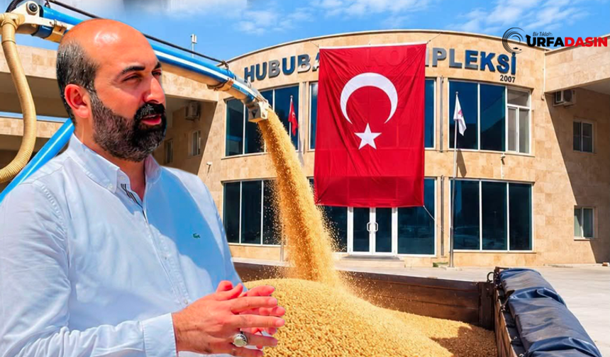 Viranşehir Buğday Pazarı’na Mısır Sondası ve Laboratuvar Kuruluyor