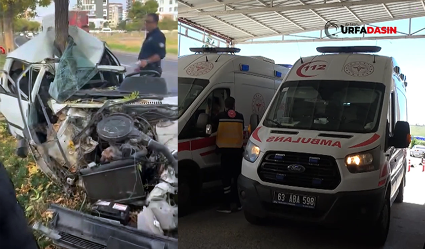 Şanlıurfa'da Otomobil, Yol Kenarındaki Ağaca Çarpıp Katlandı: 3 Yaralı