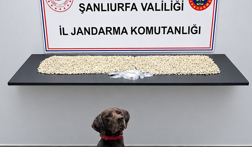 Şanlıurfa'da Bir Evde Binlerce Ele Geçirildi: 1 Gözaltı