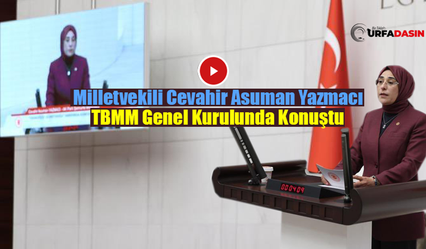 Yazmacı: Tarihin Sıfır Noktasından Geleceğin Zirvesine Uzanan Yol Şanlıurfa’dan Geçti