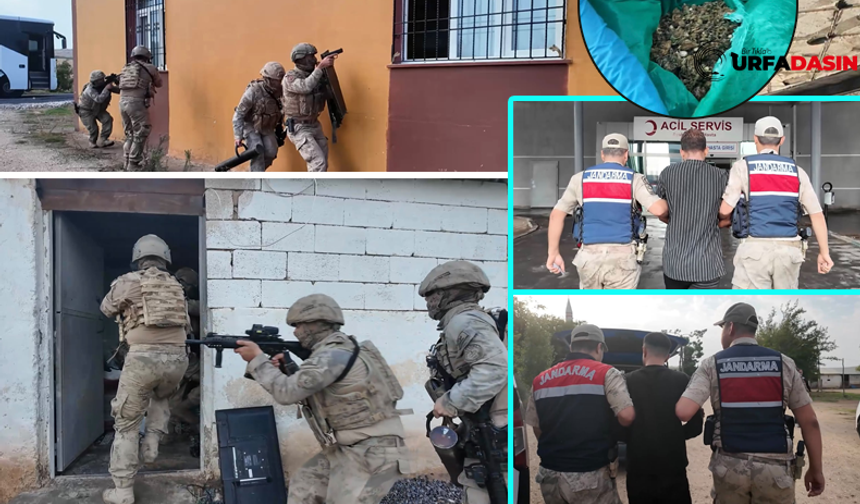 Şanlıurfa Birecik'te Gözaltına Alınan 29 Zehir Tacirinin 29'u da Tutuklandı