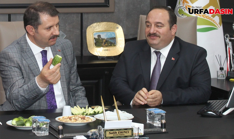 VİRAN ŞEHİR BELEDİYESİ ŞELENGO İKRAM EDİLDİ