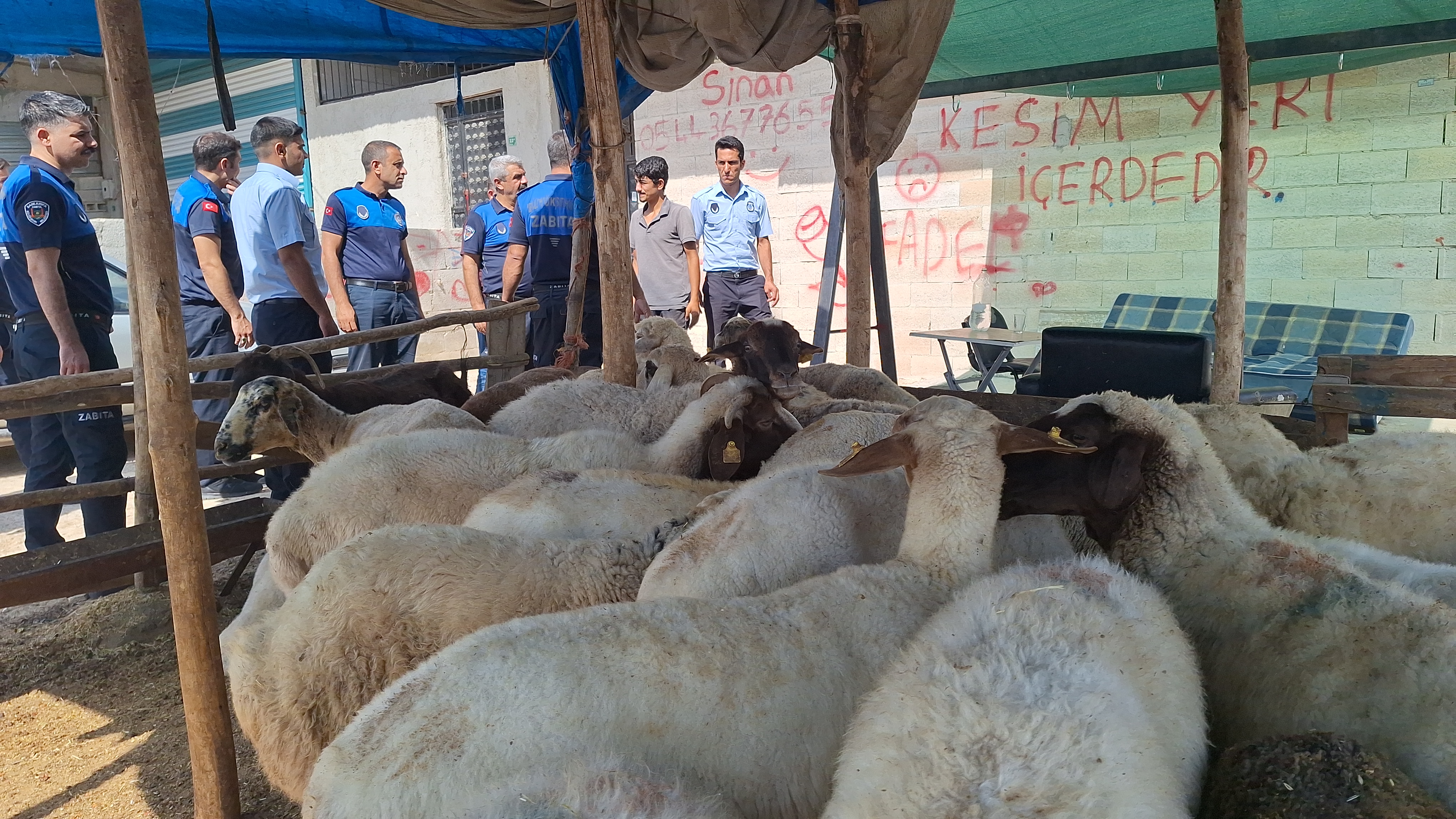 BÜYÜKŞEHİR ZABITA’DAN KAÇAK KESİM UYARISI (1)