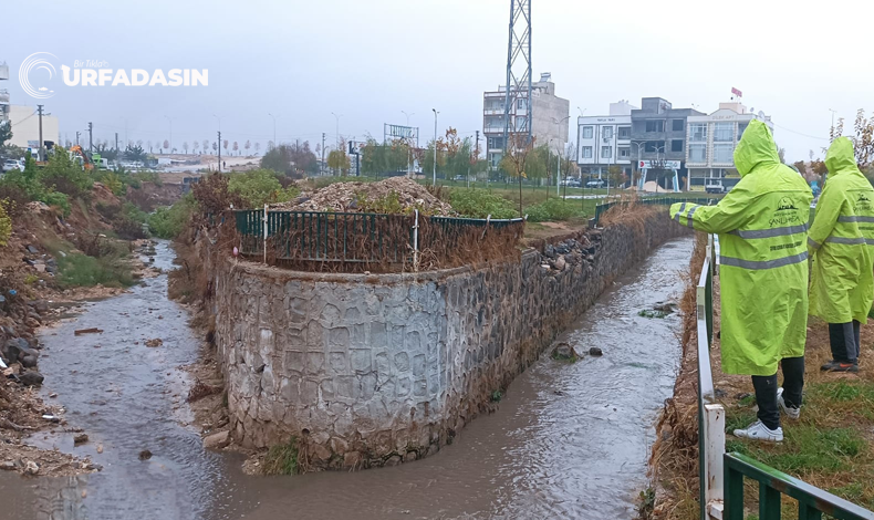 derelerde su seviyesi artıyor