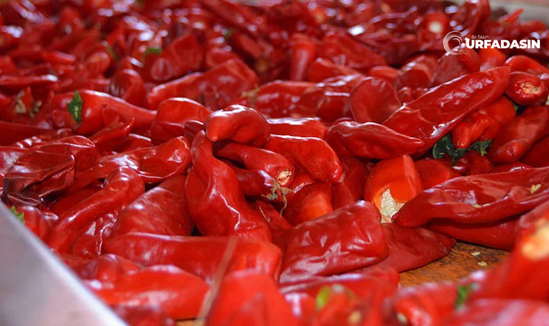 Biber Acı Isot