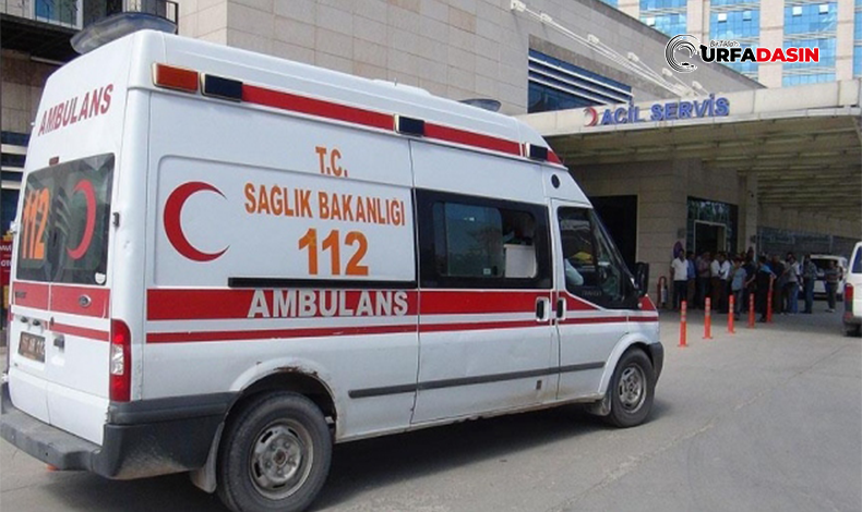 Şanlıurfa'da Buğday Pazarında Kavga Çıktı: 2 Yaralı