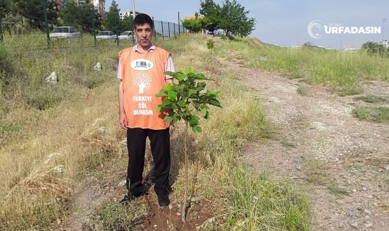 Tema Ahmet Sağır Fidan Dikti