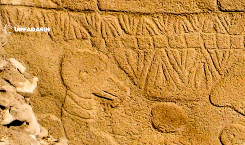 Göbeklitepe Güneş Takvimi