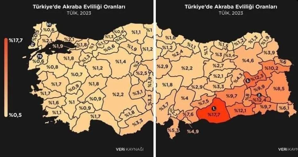 Akraba Evliliği