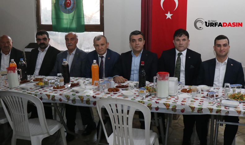 Iftar Bozova