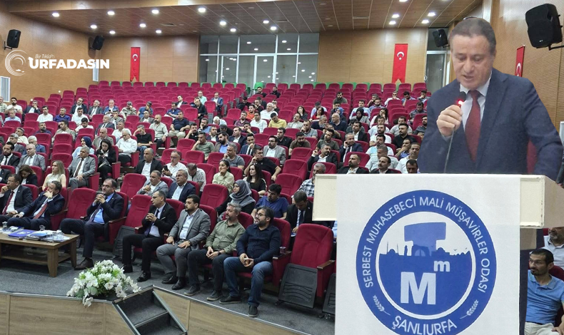 Mali Müşavirler Odası