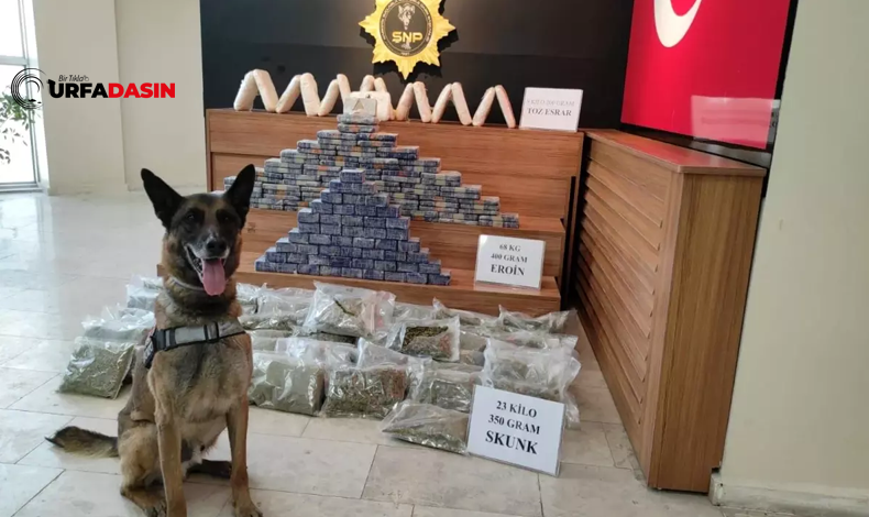 Narkotik Köpek Emniyetin