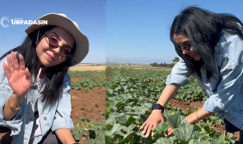 Tansu Göktepeli Foto