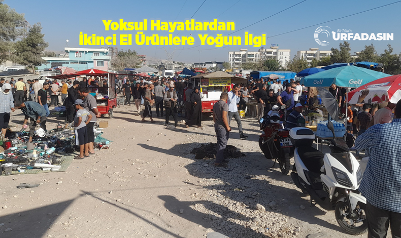 Bit Pazarı-1