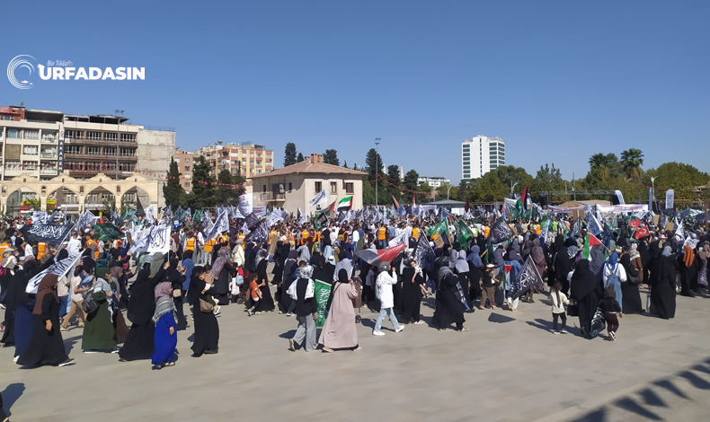 Meydan Rabia