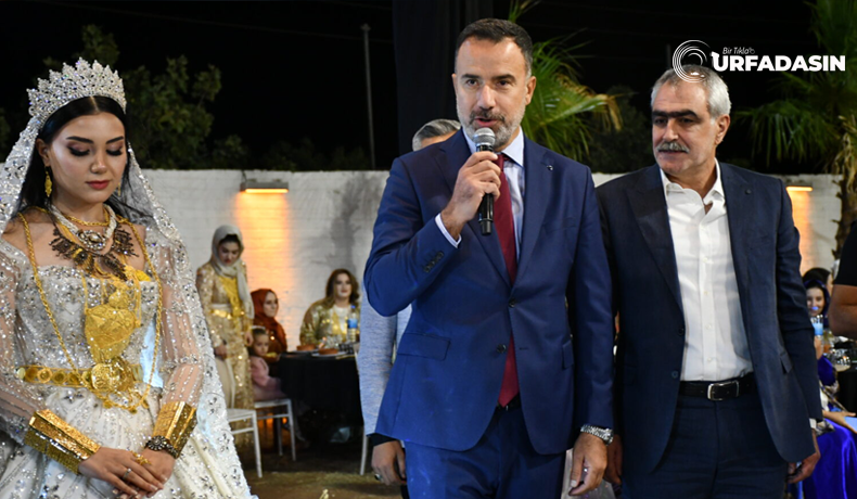 Şeddadi3