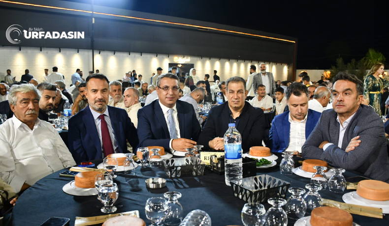 Şeddai2