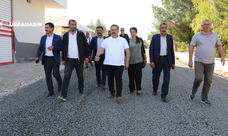 Asfalt Serimi Viran