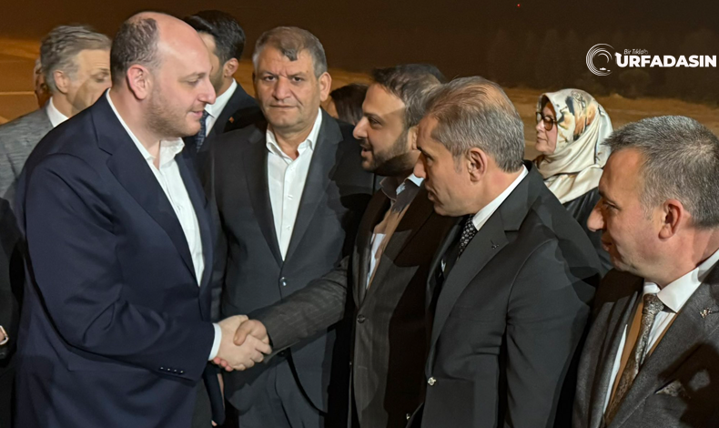 Bağöamcı Gümüş