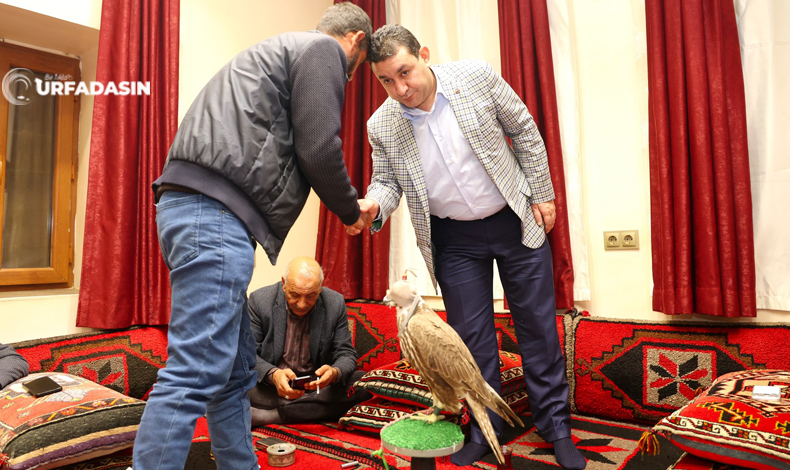 Harran Şahin Özyavuz